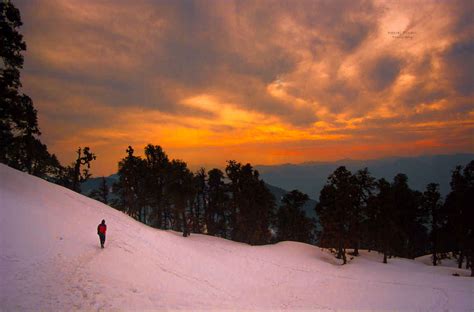 Honest, Useful Traveler Guides To Chopta 2022 | Tripoto