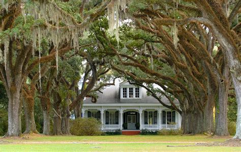 Beautifully of life: Plantation Antebellum South