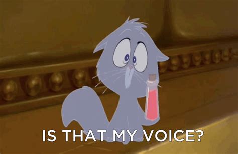 Or Yzma in cat form, who also can talk to only humans. | Classic disney ...