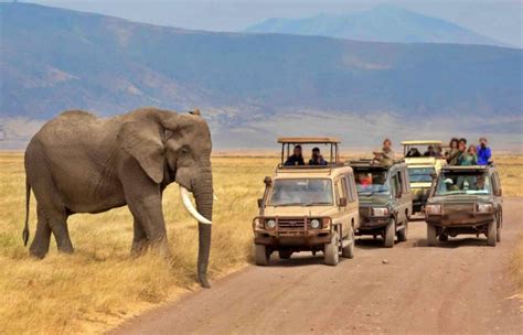 Exclusive Tanzania Wildlife Safari – African Beast Tours