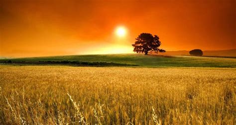 Beautiful Sunset Landscape Over an Empty Field