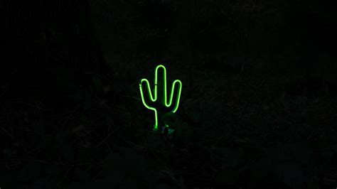 [100+] Neon Green Aesthetic Wallpapers | Wallpapers.com