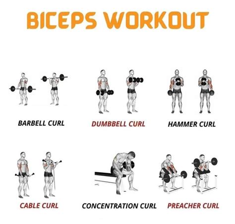 Biceps Workout At Gym | Biceps workout, Bicep and tricep workout, Barbell workout