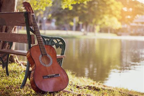 View of Acoustic Guitar at Lake. Background the Nature of the Lake ...