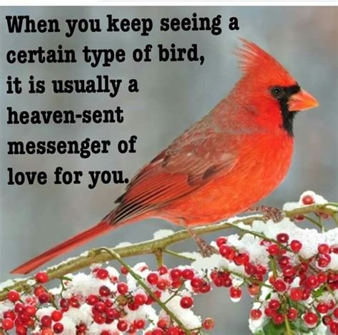 Pin by betty stephenson on crea | Cardinal birds, Cardinal birds ...