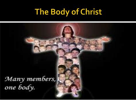 PPT - The Body of Christ PowerPoint Presentation, free download - ID:2212886