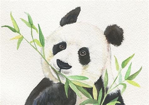 Panda Love: A Beautiful Watercolor Painting