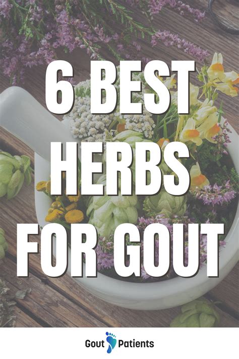 6 Best Herbs for Gout | Gout, Gout remedies, Gout relief