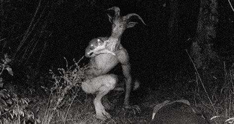 What Is The Goatman, The Legendary Half-Man, Half-Goat?