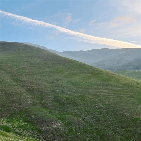 Mission Peak Trail - A Top Bay Area California Hike - Carrie Green-Zinn