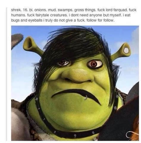 Edge Shrek | Shrek | Emo kid, Memes, Shrek