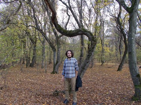 Hoia Baciu: Inside the creepiest forest in Transylvania