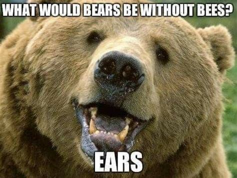 Pin by Lantz Tolles on BEARS | Bear pictures, Bear, Animal puns