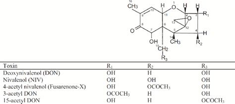 Chemical structure of type D trichothecenes | Download Scientific Diagram