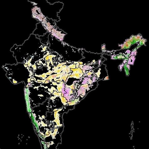 Sudhakar Reddy C. | Head | Ph.D. F.B.S. F.I.A.T. F.A.P.T. S.S.P. | National Remote Sensing ...