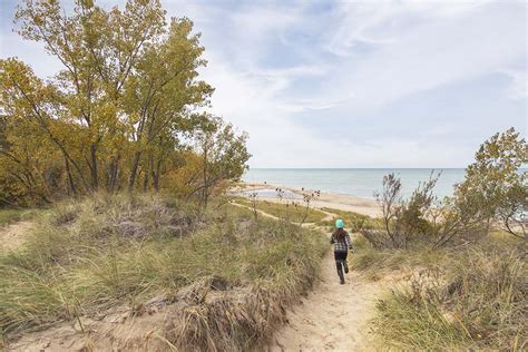 Warren Dunes State Park | Southwestern Michigan Tourist Council