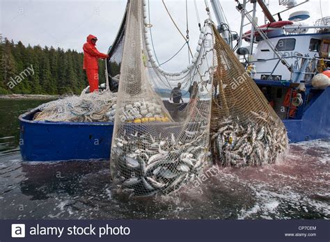 Government Fails to Manage Fisheries and Control Predatory Corporates ...