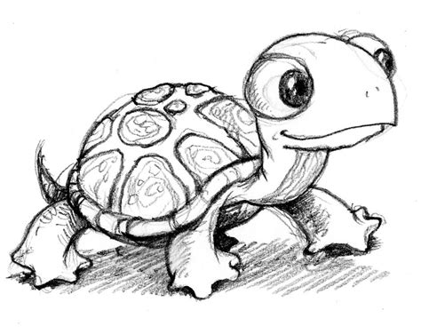 Lovely Small Pets | Turtle sketch, Turtle drawing, Cute drawings