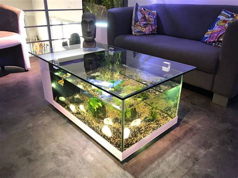 Super cool modern fish tank ideas - zillareqop