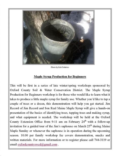 Maple Syrup Production for Beginners! – Town of Paris