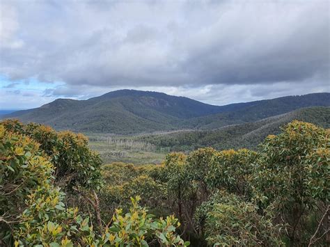 Mount Oberon - Trail Navigator Victoria