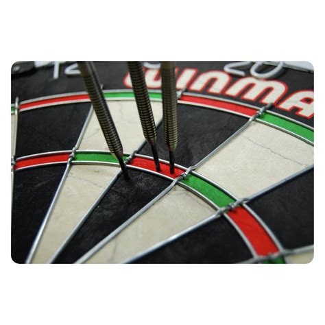 Winmau Masters Bristle Dartboard Reviews - Updated October 2024