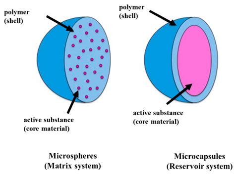 Applied Sciences | Free Full-Text | Microencapsulation of Natural Food ...