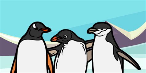 วิเคราะห์ข้อมูลจาก Palmer Penguins Dataset Extended | by Perth | Medium