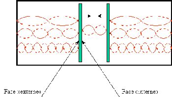 The Casimir effect - Physical Sciences, Chemistry and Biology