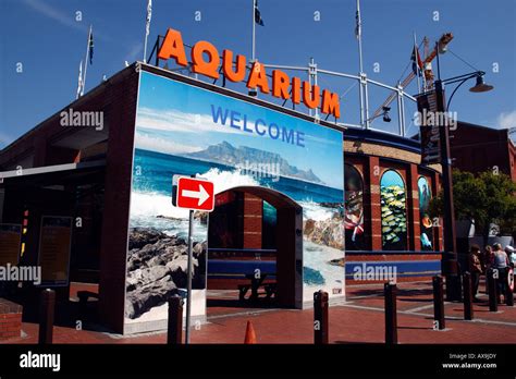 entrance to the two oceans aquarium at the v&a waterfront cape town western cape province south ...