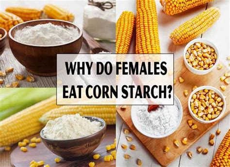 Why Do Females Eat Corn Starch (3 Main Reasons) | Rambler