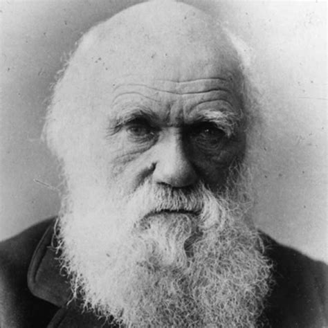 SwashVillage | Charles Darwin Biografie