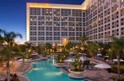 Hilton Orlando | Orlando, FL | 25601 - Featured