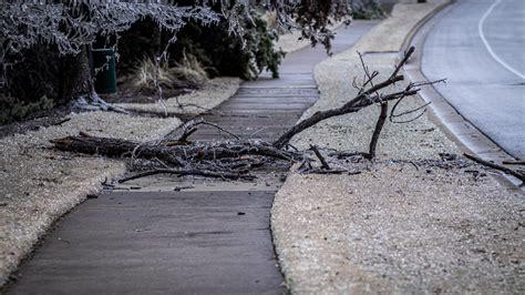 The twists and turns of Texas weather – Vandegrift Voice