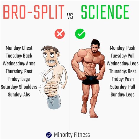 Bro Split Workout Plan Pdf