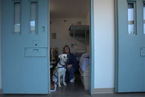 Future service dogs get their training by women inmates at Coffee Creek lockup - oregonlive.com