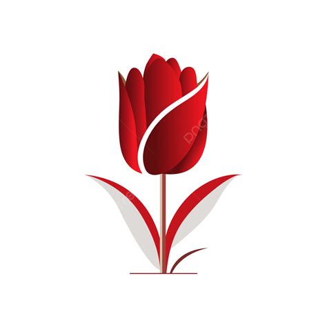 Red Rose Flower Vector, Rose, Rose Flower Vector, Red Rose PNG and Vector with Transparent ...