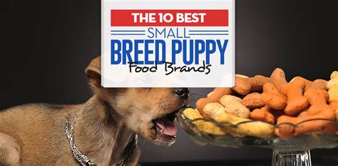 Top 10 Best Small Breed Puppy Foods of 2018