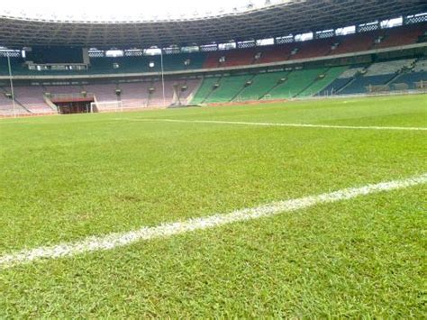 PUSAT RUMPUT SINTETIS TAMAN & FUTSAL DAN VERTICAL GARDEN SINTETIS ...