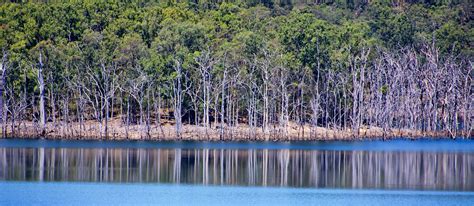 Lake Reflection Trees - Free photo on Pixabay - Pixabay