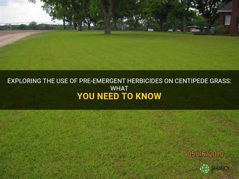 Exploring The Use Of Pre-Emergent Herbicides On Centipede Grass: What ...