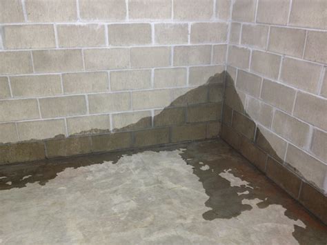 An Inexpensive Basement Waterproofing Option - Erin Spain