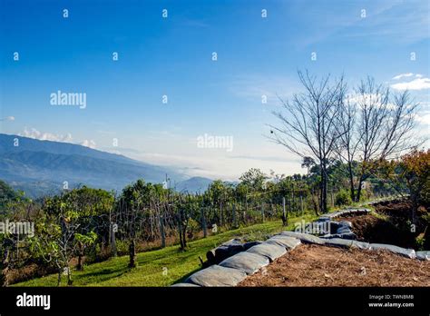 Myanmar border fence hi-res stock photography and images - Alamy