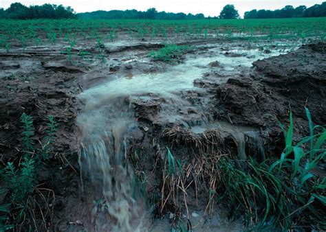 Agricultural Pollution – Voda Foundation