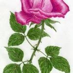 Chinese rose drawing tattoo - Best Tattoo Ideas Gallery