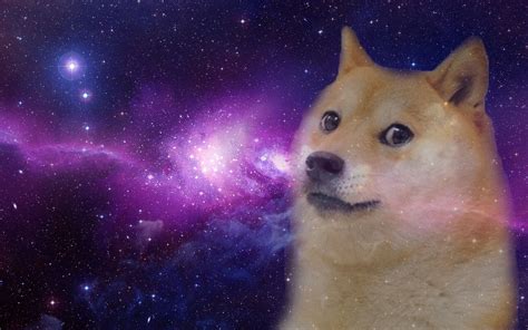 Doge Meme Wallpapers - Wallpaper Cave