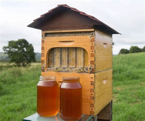 Automatic Honey Collecting Beehive | Bee keeping, Flow hive, Backyard bee