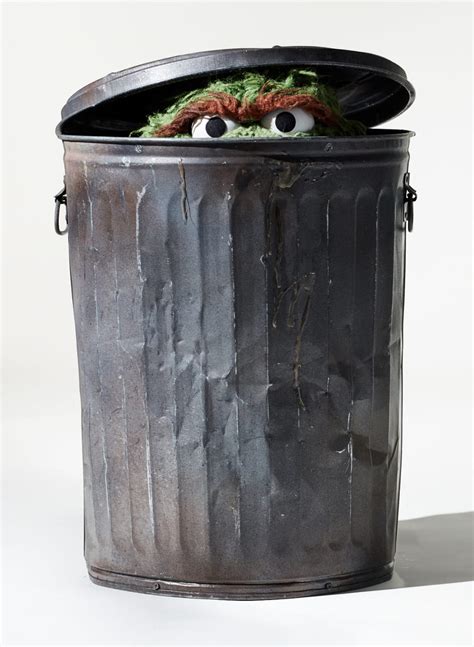 Oscar the Grouch in his Garbage Can Memes - Imgflip