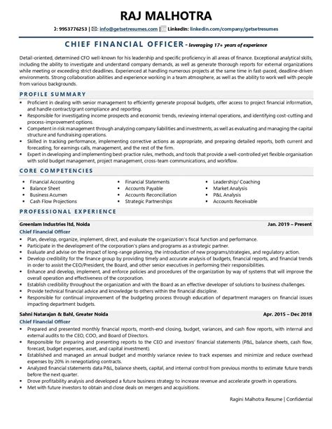 Chief Finance Officer Resume Examples & Template (with job winning tips)