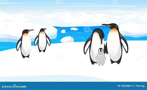 South Pole Wildlife Flat Vector Illustration Stock Vector ...